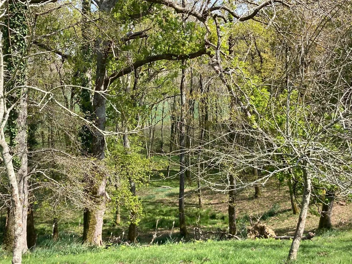 Maison Dans La Prairie Bidart France
