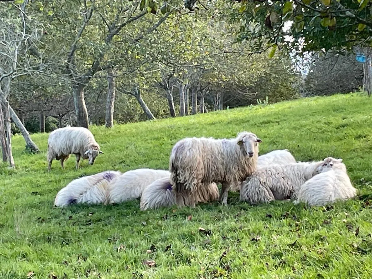 Maison Dans La Prairie Bidart